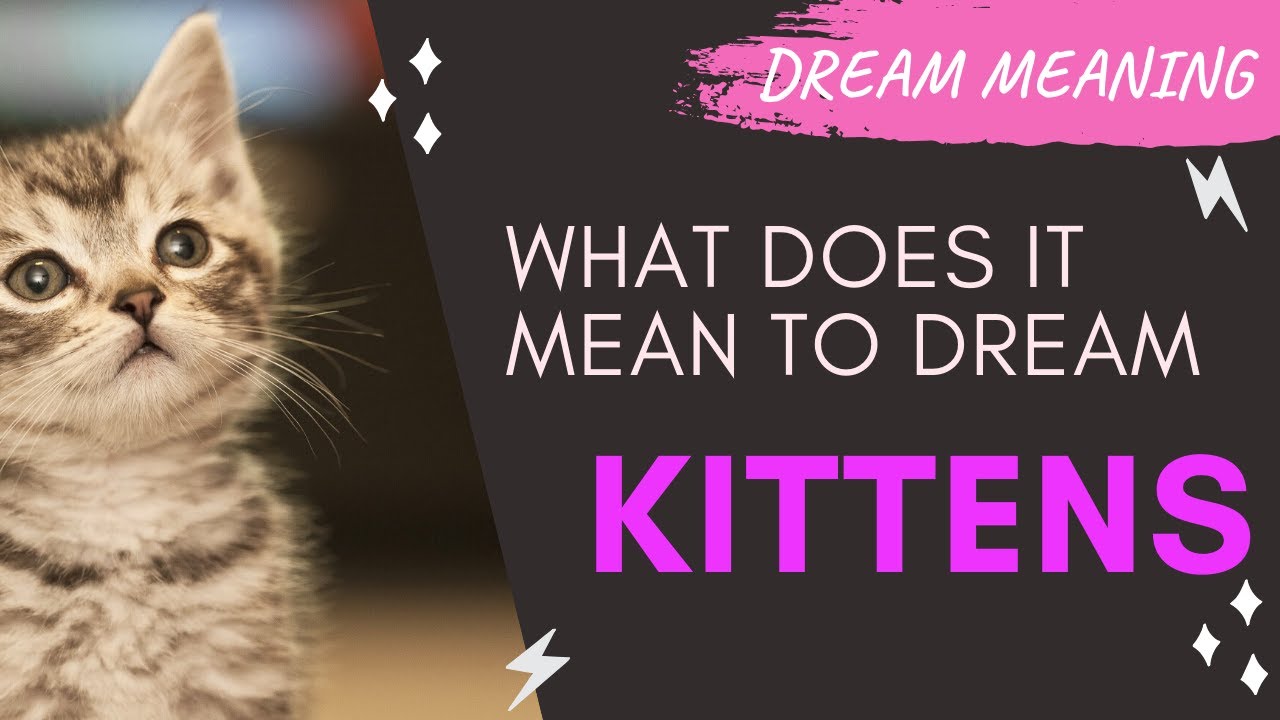 What Do Dreams with Kittens Mean? Symbolism & Interpretations